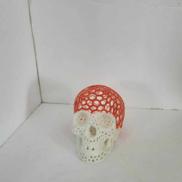 Skull - Picture 4 of 7